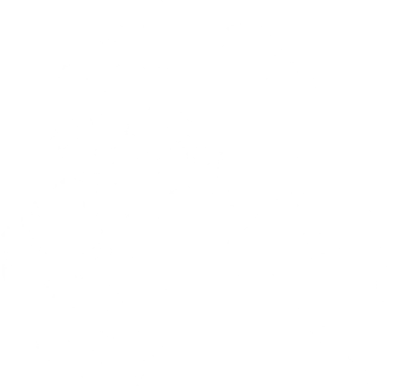 Horse Soldier Bourbon Logo as background element